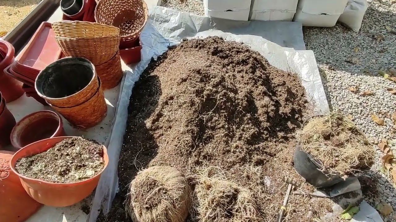 Можно ли использовать грунт повторно. Как готовлю грунт и кашпо осенью на новый сезон. Где хранить. смотреть онлайн