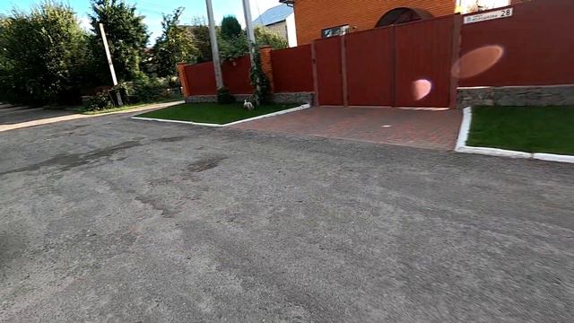 Из Болгарии автобусом, встреча с собакой #болгария #жизнь #ukraine смотреть онлайн