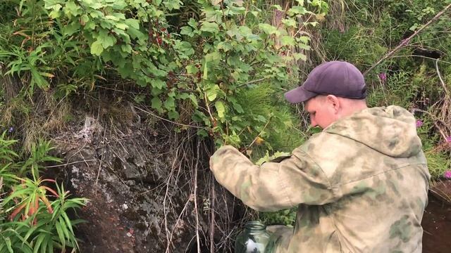 Вниз по Вилюю за ягодой. Смородиновое лето 2019. смотреть онлайн