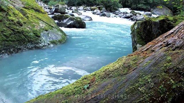 Harp Music. 10 meditative melodies. Music by Sri Chinmoy. "Peace on Earth"- Mandu Trummer Harp Solo смотреть онлайн