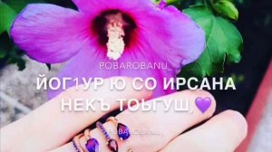Йог1ур ю со ахь сатийса соьга😻🔥♥️