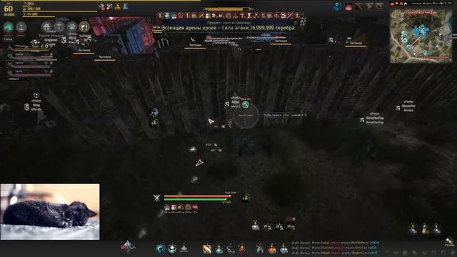 Осада Медии 17/12/2016. [Prets Guild] смотреть онлайн