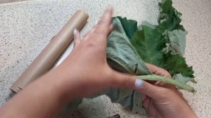 Компресс из лопуха. Что делать, если болят колени.