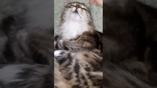 Умка. Только не спать! смотреть онлайн
