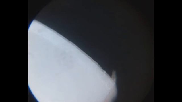 Разные виды лезвий под микроскопом. смотреть онлайн