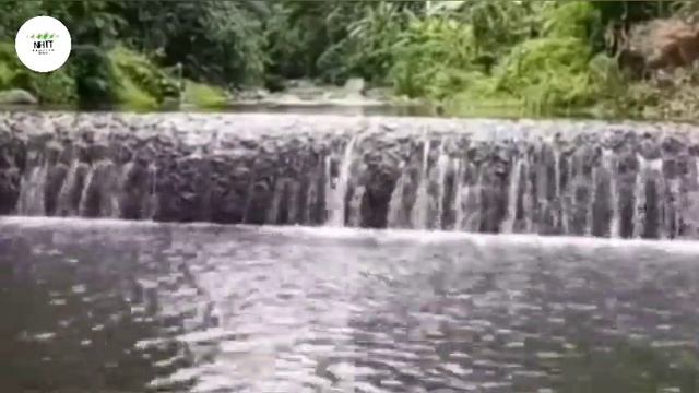 RELAXATION TO THE SOUNDS OF WATER, FLUTE AND LYRE смотреть онлайн