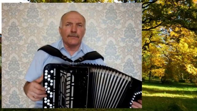 Сергей Понкратов Осенний ветер(баян) смотреть онлайн