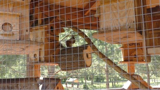 Майский Жук постучал в окно   Скоро Лето - Summer Is Coming Soon@ArinaMiroshina