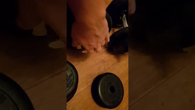 Купить гантели . Интернет магазин sportlim.ru .Видео отзыв смотреть онлайн