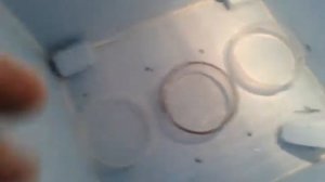 Инкубатор своими руками из пенопласта