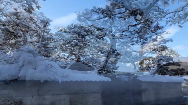 С.НОЯБРЬСКИЙ - ПУШИСТЫЙ КОТ(сл.и муз.С.Ноябрьский) смотреть онлайн