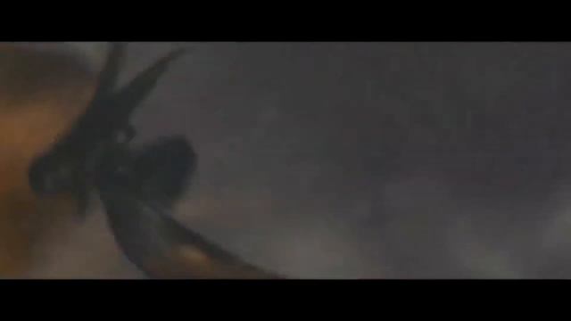 ОШИБКИ КИНОВСЕЛЕННОЙ MONSTERVERSE. смотреть онлайн