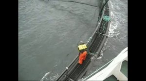 Огромный садок Норвегия. Выращивание триплоидной Форели и Атлантического Лосося вместе. Садки в мор