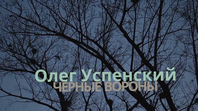 Аранжировщик Александр Васильев. Портфолио смотреть онлайн