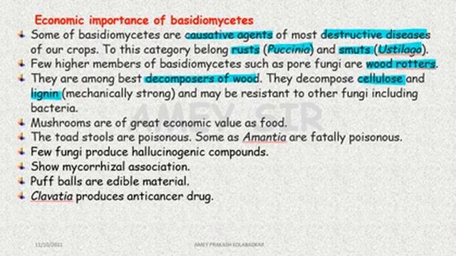 Chapter 2:- Basidiomycetes and deuteromycetes смотреть онлайн