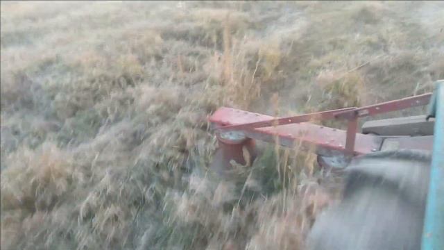 Заготовка сена в октябре, или 