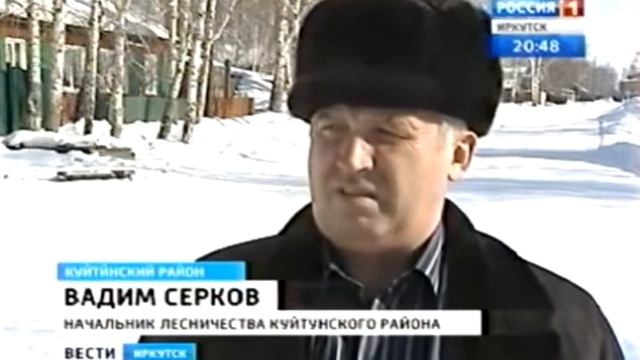 Закон - тайга, качок - хозяин смотреть онлайн