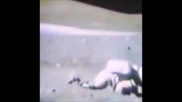 A fly caught in a photo sent by the Rover on Mars смотреть онлайн