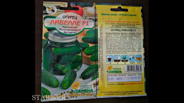 Семена. Семена огурцов - лидеры продаж декабря 2018г...