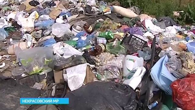 Диево-Городище утопает в мусоре смотреть онлайн
