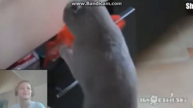 тест на психику (с моим лицом) я настроил веб-камеру. смотреть онлайн