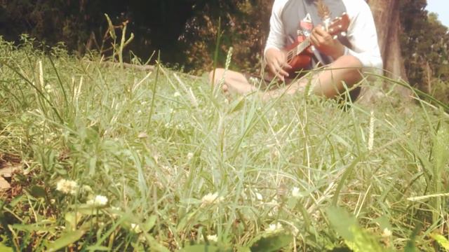 Morning Glory (Prettiest ukulele song in the world cover) смотреть онлайн