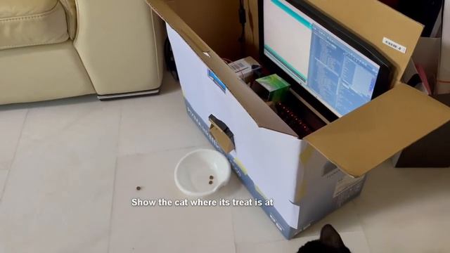 Pet Feeder IoT Project Arduino/Python смотреть онлайн