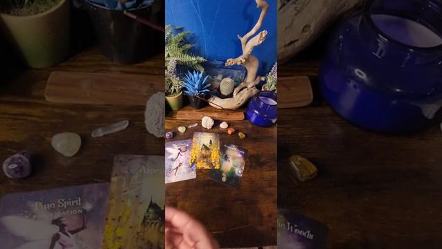 FORGIVE & RELEASE FOR ABUNDANCE!! #oracle #tarotreading #asmr смотреть онлайн
