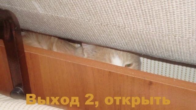 Достать кошку из-за дивана. смотреть онлайн