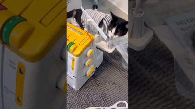 JANOME ОВЕРЛОК Machine/ Распаковка новой машинки оверлок/лучшая оверлок Машинка/#unpacking #overloc смотреть онлайн