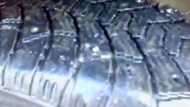 Кордиант травит шип