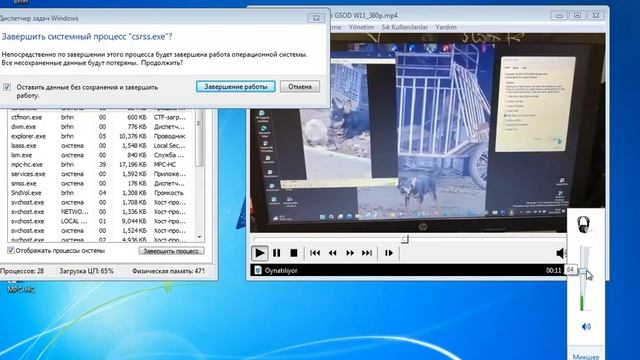Testing Old Computer Virtualbox 4.3.40 BSOD Crashing смотреть онлайн