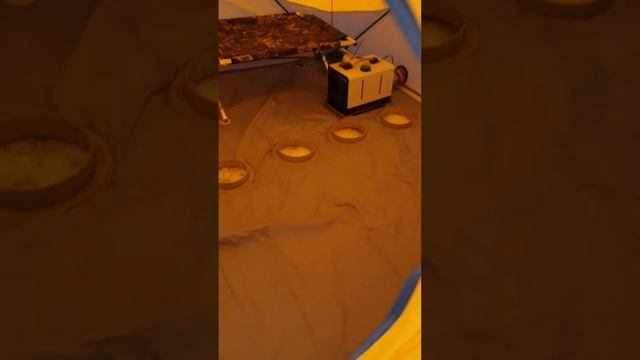 Китайская автономка для зимней рыбалки смотреть онлайн