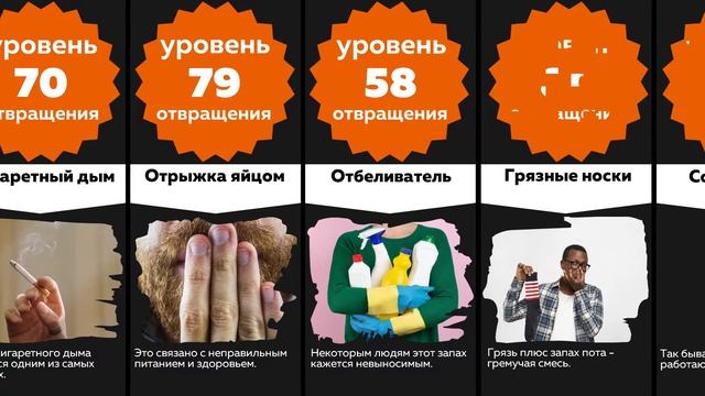Сравнение: 50 САМЫХ НЕПРИЯТНЫХ И ОТВРАТИТЕЛЬНЫХ ЗАПАХОВ в мире смотреть онлайн