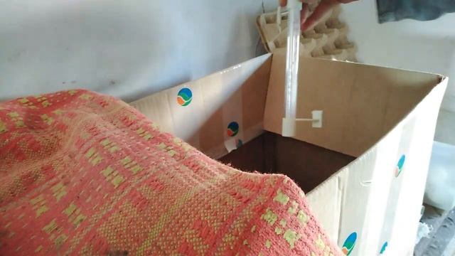 Хранение инкубационного яйца смотреть онлайн