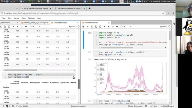 Python 18 enero смотреть онлайн