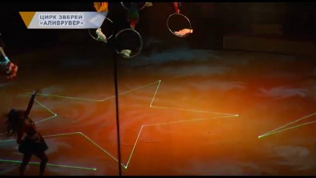 ЦИРК ЗВЕРЕЙ «АЛИВРУВЕР» смотреть онлайн