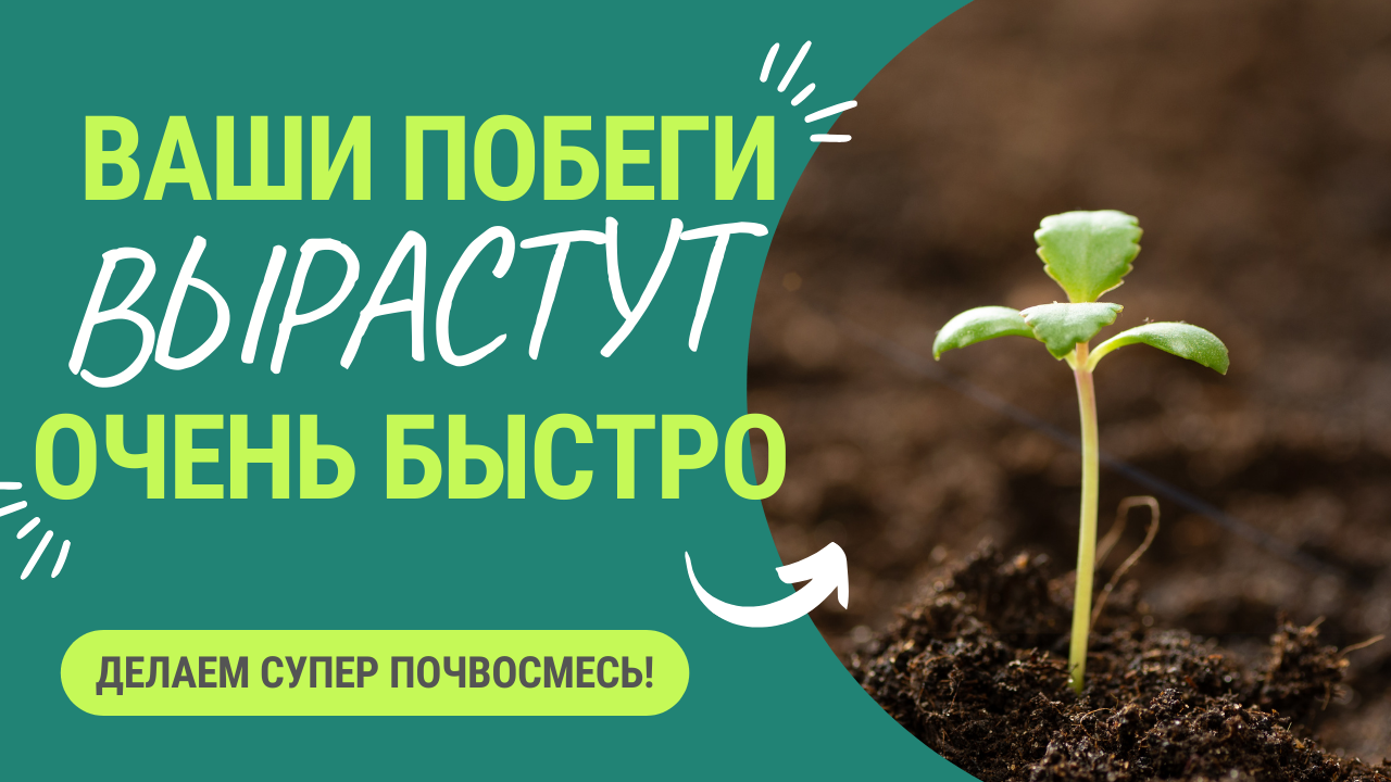 Три богатыря для превосходной почвосмеси. Растение в таком грунте растет в 2 раза быстрее! смотреть онлайн
