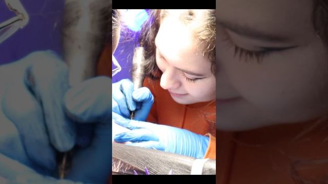 Смотри процесс нанесения татуировки на канале смотреть онлайн