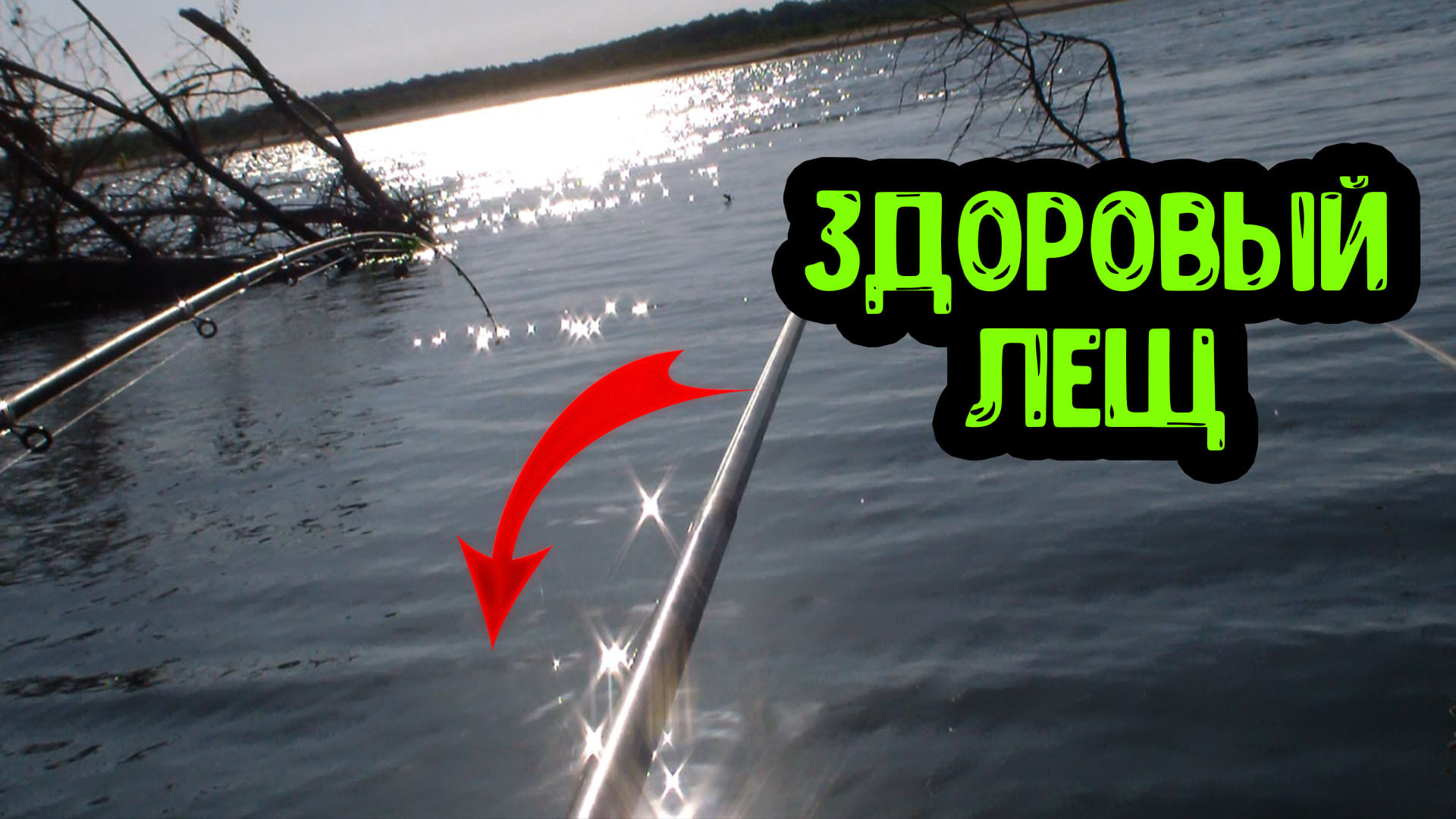 Ловля леща на поплавок среди коряг. День № 1 готовим место и первые лещи. смотреть онлайн