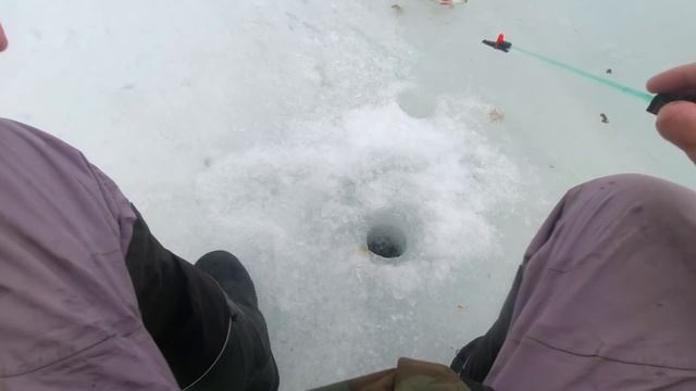 ВОТ ЭТО СЮРПРИЗ- НАЛИМ С ПЕРВОГО ЗАБРОСА!!! Зимняя рыбалка на Богучанском вдх. смотреть онлайн