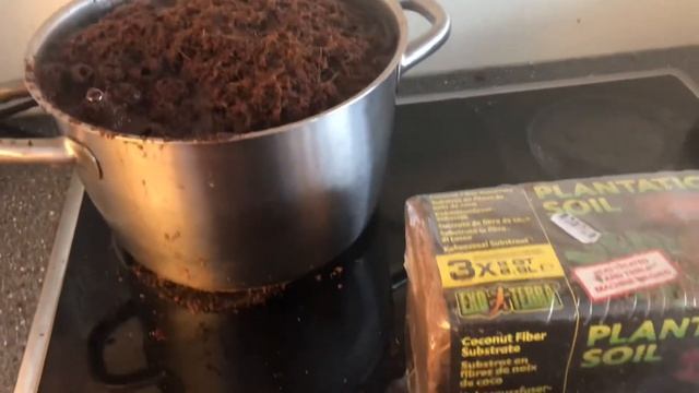 Как приготовить кокосовый субстрат ахатинам? Recipe For Making Coconut Substrate For Snails