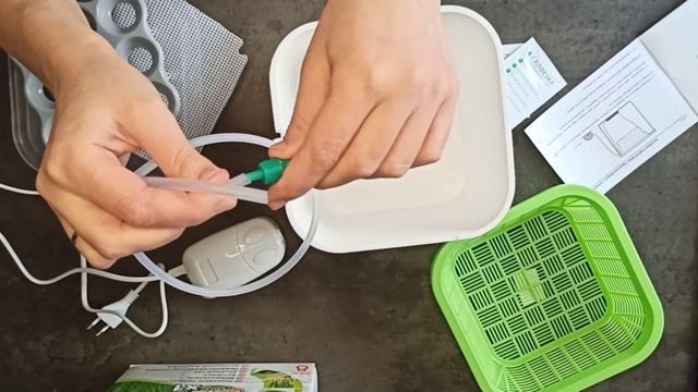 Проращиватель для микрозелени. Как пользоваться проращивателем. Проростки смотреть онлайн