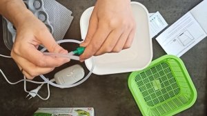 Проращиватель для микрозелени. Как пользоваться проращивателем. Проростки