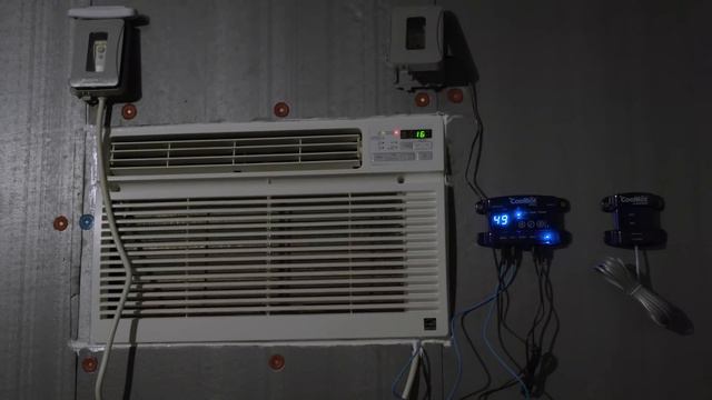 Peak-Summer Check-in At Blue Goose Farm