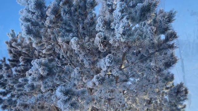 5 #прогулка # Ангара Сибирь смотреть онлайн