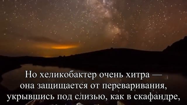 Что такое хеликобактер пилори — Статья смотреть онлайн