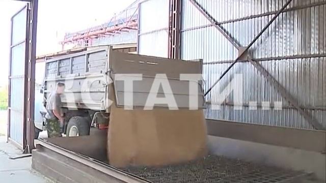 Скачков цен на муку и хлеб в этом году можно не опасаться