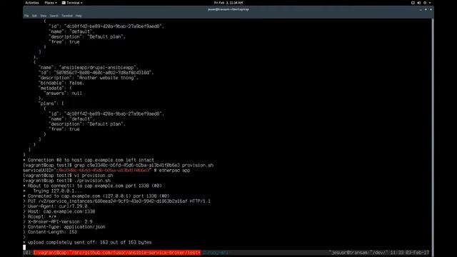 Sprint #1 Demo #2 - Ansible Service Broker Provision/Deprovision смотреть онлайн
