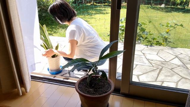 【老後資金】残りの人生は持っている物を大切に使う事。足るを知る事の大切さ。 смотреть онлайн